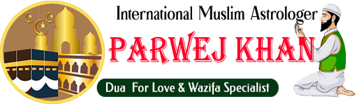 Famous Astrologer Parwej Khan  +91-7297951738
